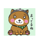 くまだっていぬの着ぐるみ着たいのシリーズ（個別スタンプ：8）