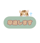 お仕事猫さん（個別スタンプ：24）