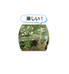 カマキリの、日常（個別スタンプ：13）