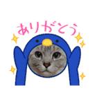 猫とうさぎの挨拶スタンプ☆ちろみるこ（個別スタンプ：1）