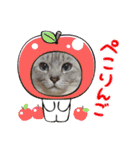猫とうさぎの挨拶スタンプ☆ちろみるこ（個別スタンプ：2）