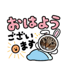 猫とうさぎの挨拶スタンプ☆ちろみるこ（個別スタンプ：7）