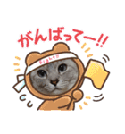 猫とうさぎの挨拶スタンプ☆ちろみるこ（個別スタンプ：11）