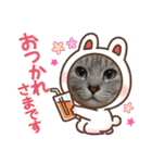 猫とうさぎの挨拶スタンプ☆ちろみるこ（個別スタンプ：14）