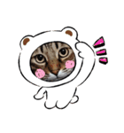 猫とうさぎの挨拶スタンプ☆ちろみるこ（個別スタンプ：18）