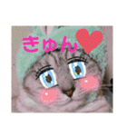 猫とうさぎの挨拶スタンプ☆ちろみるこ（個別スタンプ：38）