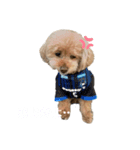 もこちゃんスタンプvol.2（個別スタンプ：3）