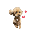 もこちゃんスタンプvol.2（個別スタンプ：4）