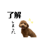 さきちゃんすたんぷぅ2（個別スタンプ：10）