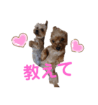 よーきーず2（個別スタンプ：8）