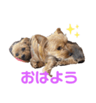 よーきーず2（個別スタンプ：18）