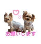 よーきーず2（個別スタンプ：23）