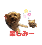 よーきーず2（個別スタンプ：26）