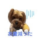 よーきーず2（個別スタンプ：27）