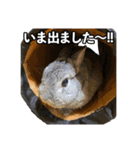 ロッタちゃん Part.1（個別スタンプ：10）