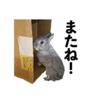 ロッタちゃん Part.1（個別スタンプ：13）