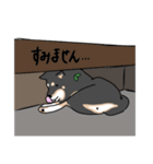 柴ポメの日常2（個別スタンプ：14）