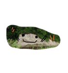 竹とんぼ（個別スタンプ：7）