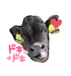 竹とんぼ（個別スタンプ：8）