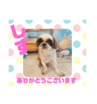 HappyBathPepのお友達G（個別スタンプ：1）
