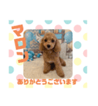 HappyBathPepのお友達G（個別スタンプ：5）