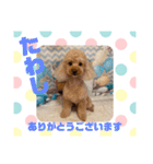 HappyBathPepのお友達G（個別スタンプ：9）