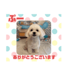 HappyBathPepのお友達G（個別スタンプ：13）