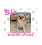 HappyBathPepのお友達G（個別スタンプ：17）
