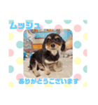 HappyBathPepのお友達G（個別スタンプ：21）