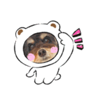 HappyBathPepのお友達G（個別スタンプ：23）
