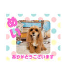 HappyBathPepのお友達G（個別スタンプ：25）