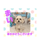 HappyBathPepのお友達G（個別スタンプ：29）