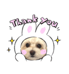 HappyBathPepのお友達G（個別スタンプ：31）
