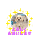 HappyBathPepのお友達G（個別スタンプ：32）
