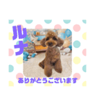 HappyBathPepのお友達G（個別スタンプ：33）