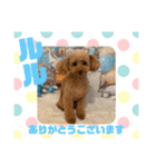 HappyBathPepのお友達G（個別スタンプ：37）
