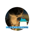 ちびみや〜応援＆ちょいエモスタンプ〜（個別スタンプ：7）