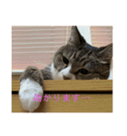 ちびみや〜応援＆ちょいエモスタンプ〜（個別スタンプ：15）