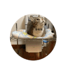 ちびみや〜応援＆ちょいエモスタンプ〜（個別スタンプ：36）
