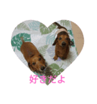 白と龍（個別スタンプ：7）