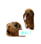 白と龍（個別スタンプ：8）