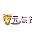 可愛いトラ猫。省スペース（個別スタンプ：5）