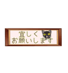 いつもの黒猫、省スペース（個別スタンプ：4）