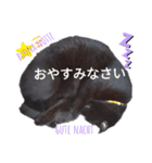 黒ネコくん 2（個別スタンプ：3）
