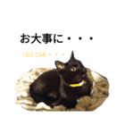 黒ネコくん 2（個別スタンプ：4）