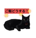 黒ネコくん 2（個別スタンプ：18）