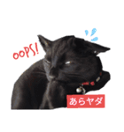 黒ネコくん 2（個別スタンプ：24）