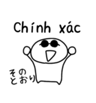 サングラスとベトナム語と日本語（個別スタンプ：16）