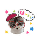stellaちゃん（個別スタンプ：1）