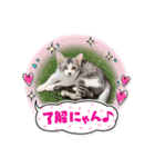 stellaちゃん（個別スタンプ：5）